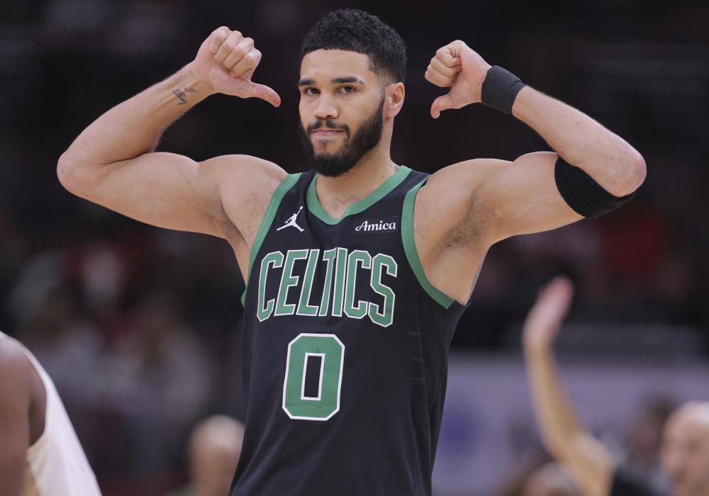 的教导下 的教导下